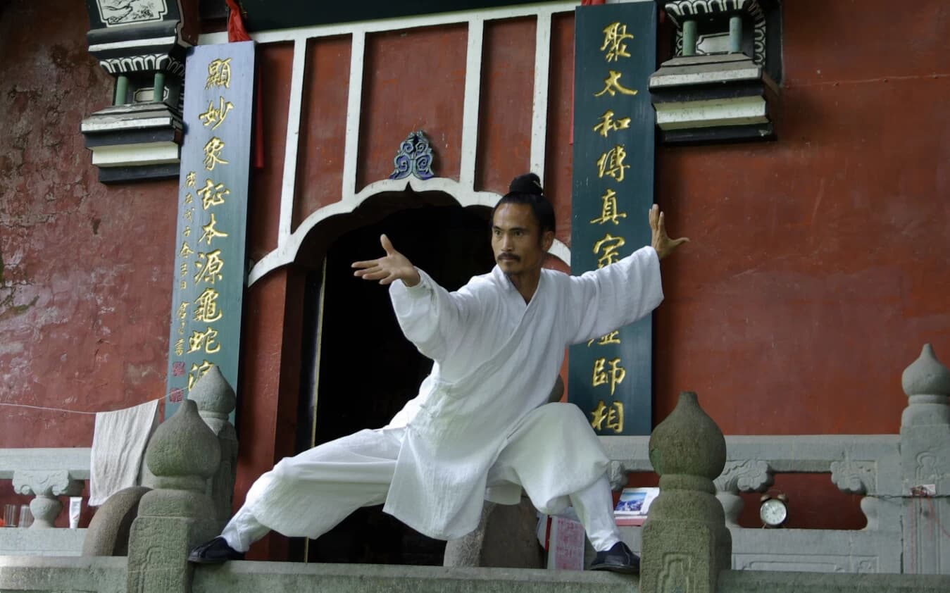 图片[1]-武当袁师懋道长养生八段锦-酷软
