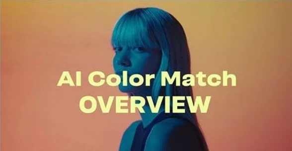 图片[1]-AI Color Match(AI色彩匹配视频调色AE/PR插件) v1.3 直装版-酷软