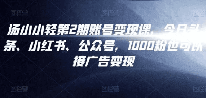 汤小小账号变现课第2期