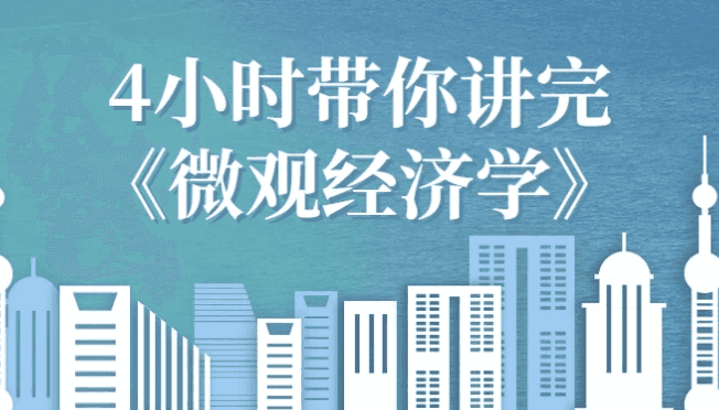 4小时带你讲完《微观经济学》