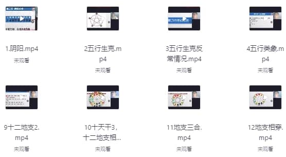 图片[1]-盲派山阳老师全套课程20集+课件-酷软