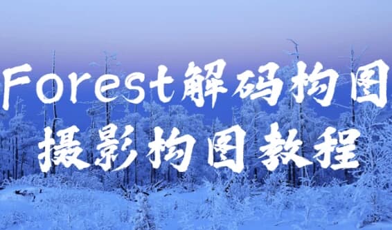 图片[1]-Forest解码构图摄影构图教程-酷软