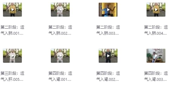 图片[1]-陆天龙极龄呼吸法21天养生营-酷软