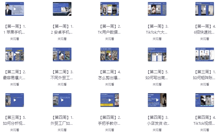 TikTok外贸工厂陪跑训练营