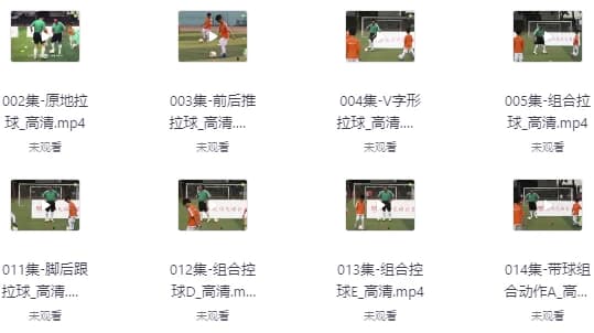 图片[1]-校园足球教学视频教程-酷软