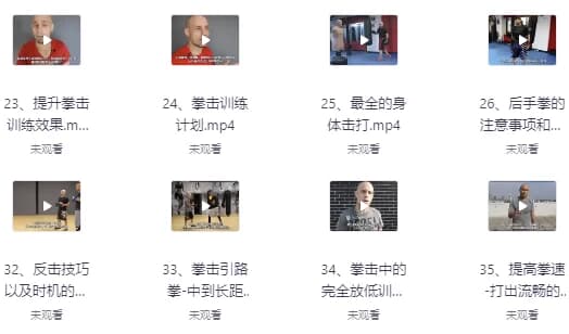 图片[1]-杰森拳击高清系统教学中英字幕-酷软
