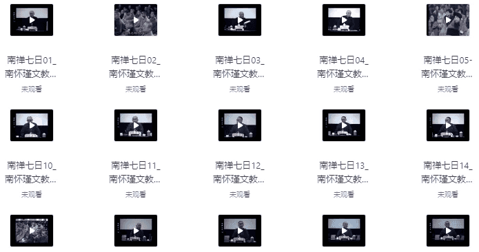 南禅七日（视频讲座+音频+文档 21集）