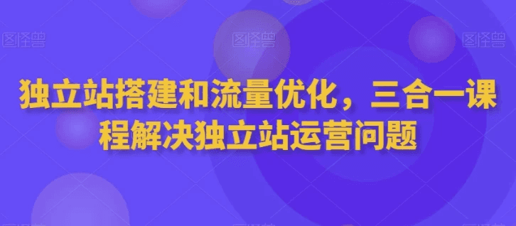 独立站搭建和流量优化三合一课程
