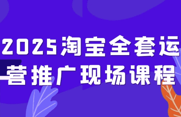 2025淘宝全套运营推广现场课程