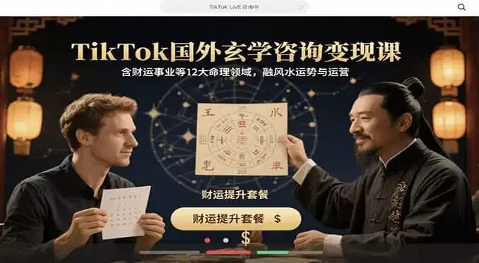 图片[1]-TikTok国外玄学咨询变现课，含财运事业等12大命理领域-酷软