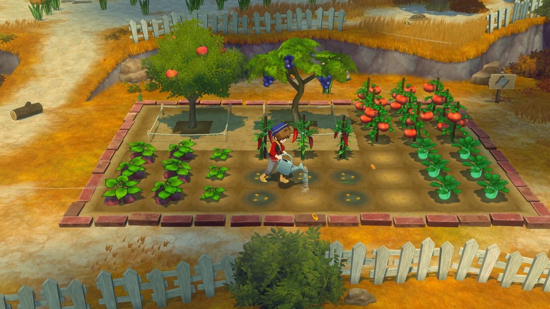 图片[1]-《牧场物语 来吧！风之繁华集市》v1.0.4 中文版-酷软
