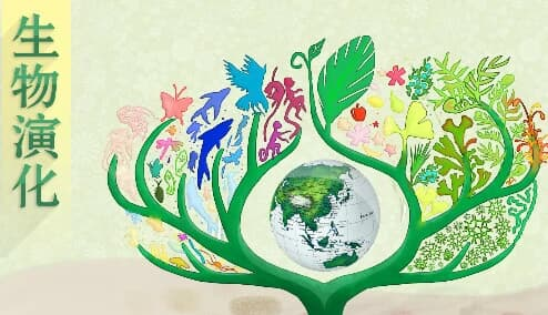 图片[1]-北京大学《生物演化》-酷软