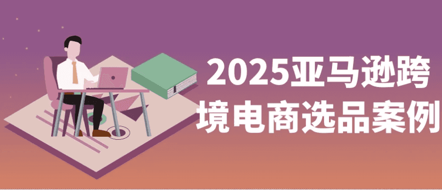 2025亚马逊跨境电商选品案例
