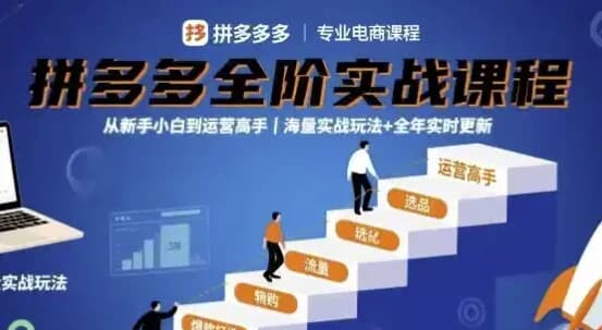 图片[1]-大炮拼多多全阶实战课程，从新手小白到运营高手，海量实战玩法+全年实时更新【2025年9月更新】-酷软