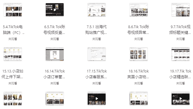 TikTok跨境短视频零基础到精通网赚变现课
