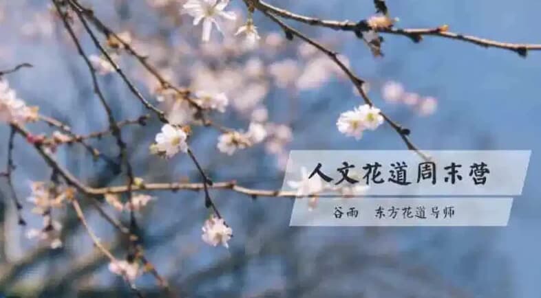 图片[1]-人文花道美学营-酷软