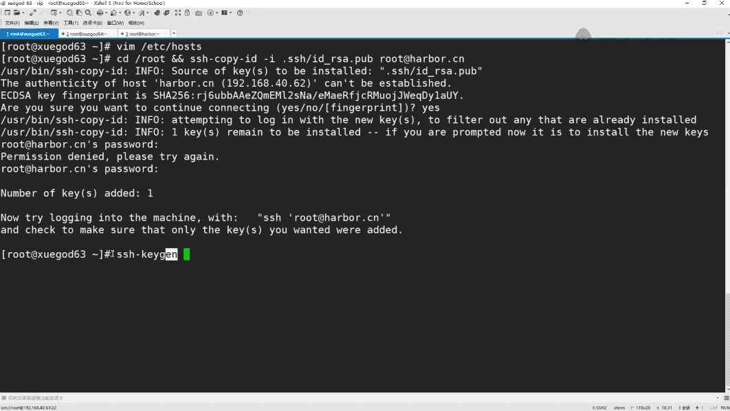 Docker（K8S）容器架构师 中级+高级 视频教程(87G)