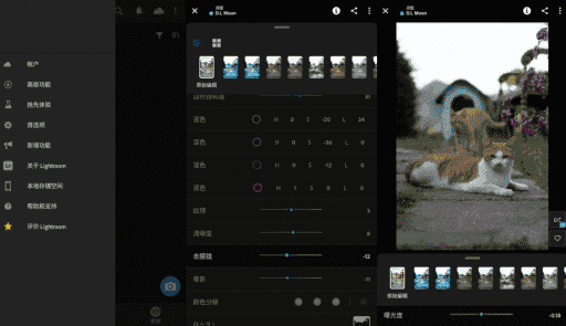 Adobe Lightroom安卓版(手机调色软件) v10.3.0 破解版