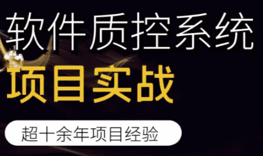 软件质控系统项目实战