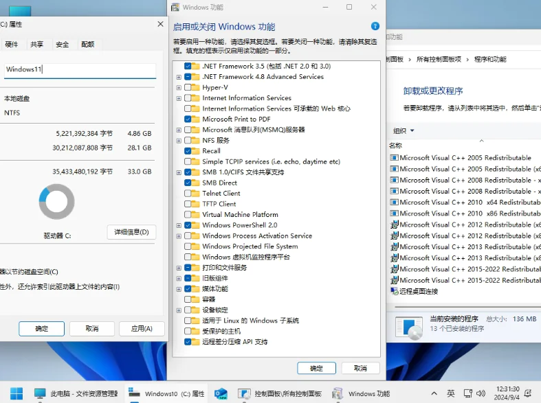 图片[1]-小修 Windows 11 24H2 Pro (26100.1742) 轻度精简 二合一 (2024.09.12)-酷软