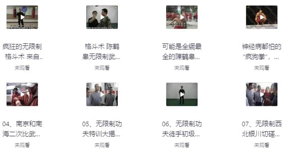 图片[1]-陈鹤皋“无限制格斗”实战训练视频-酷软