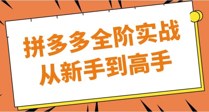 图片[1]-拼多多全阶实战从新手到高手-酷软