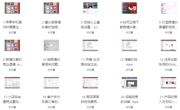 TikTok+独立站0基础入门到精通，跨境电商独立站新手必学课