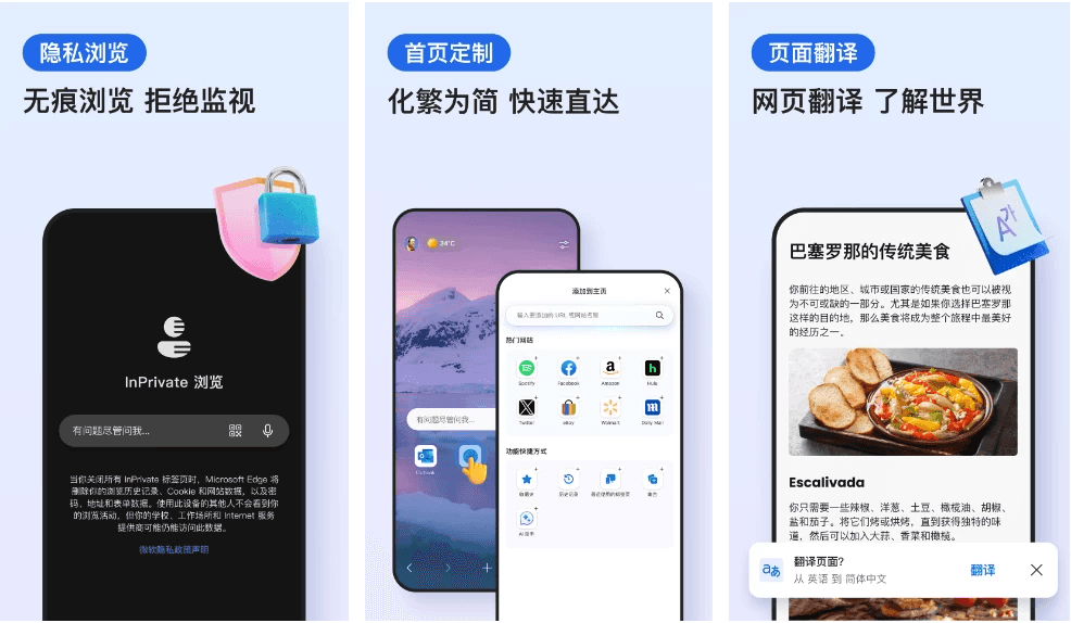 微软 Edge浏览器 v133.0.3065.67 谷歌版