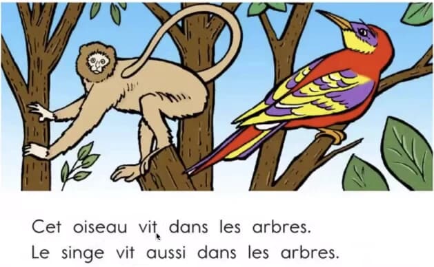 图片[1]-French for youth 少儿法语课-酷软