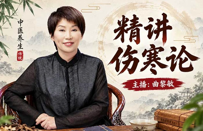 图片[1]-精讲伤寒论-酷软