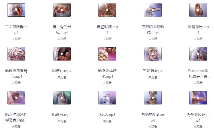 《人体器官医学解说》视频字幕版 科普人体